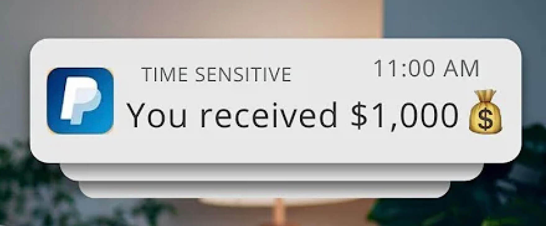 PayPal notification on a smartphone screen showing a received payment of $1,000