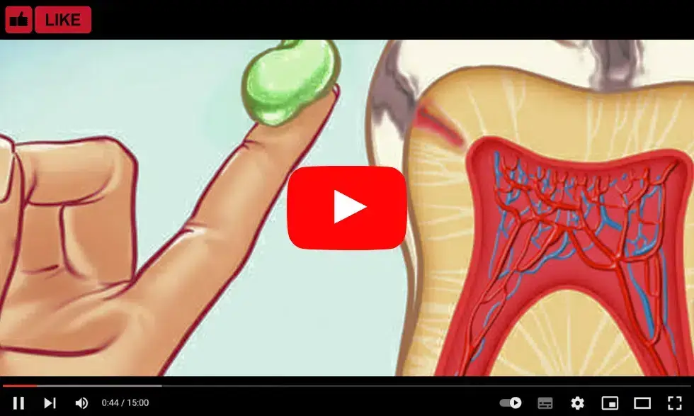 Dental treatment demonstration