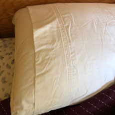 SleepGram pillows